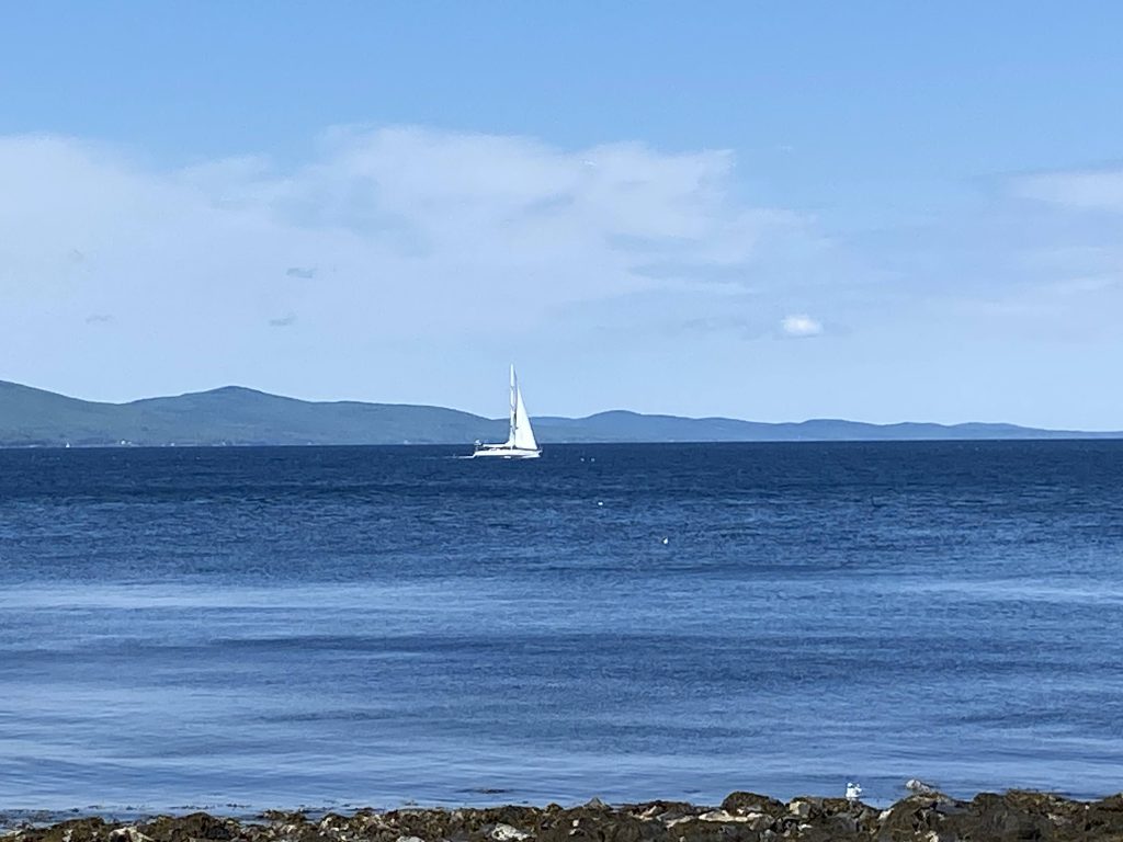 A white sailboat on the ocean with a hilly harbor in the background