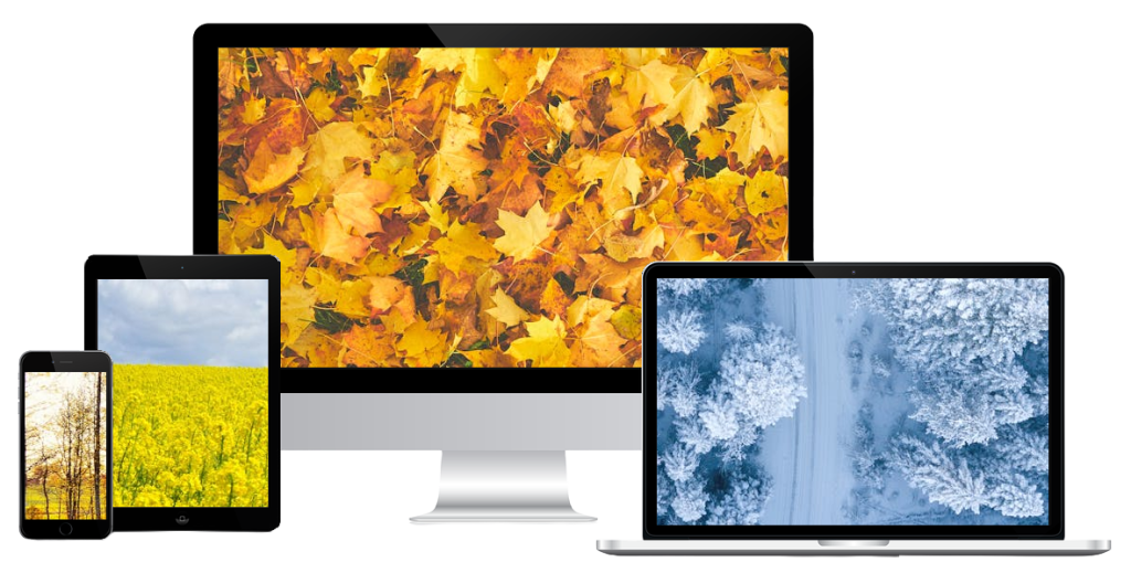 Four device screens, from mobile phone to computer monitor, each with a nature photo of a season